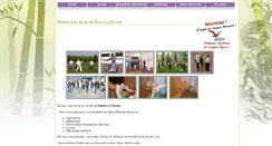 Desktop Screenshot of anjouqi.fr